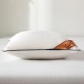 High quality pure white luxury 45*45cm sofa cushion, high-quality high rebound home cushion, suitable for car sofa pillows. 