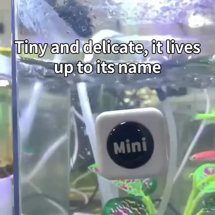 Mini%20Aquarium%20Glass%20Cleaner%20Scratch-resistant%20Glass%20Cleaner%20Magnetic%20Brush%20for%20Small%20Aquarium%20Glass%20and%20Acrylic%20Aquarium%20-%20Image%202