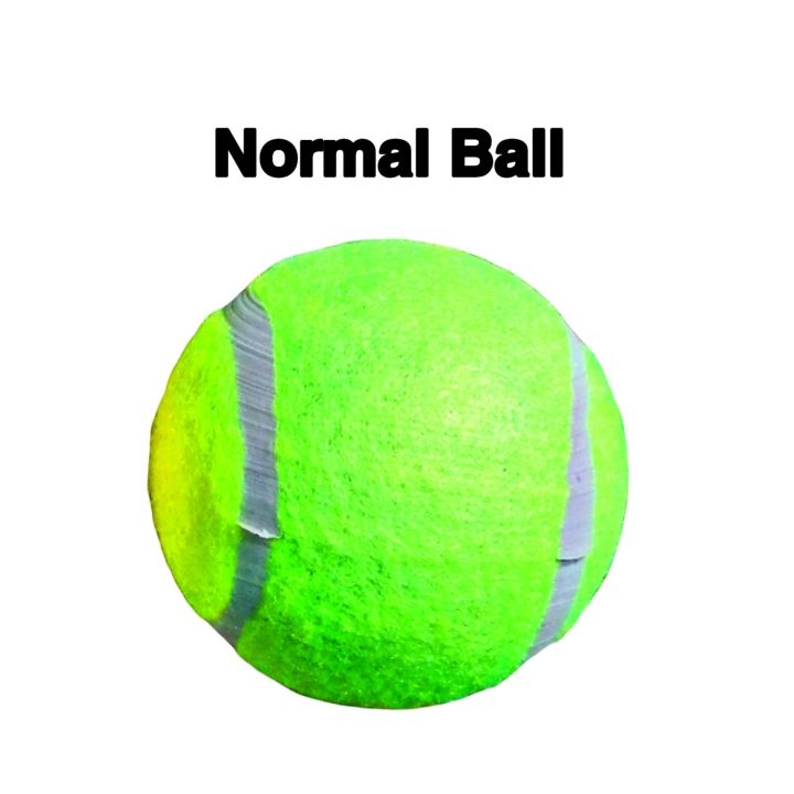 Hanging%20Ball%20with%20or%20without%20Elastic/Rope%20Hangable%20Soft%20Cricket%20Ball%20for%20shot%20practice%20-%20Image%205