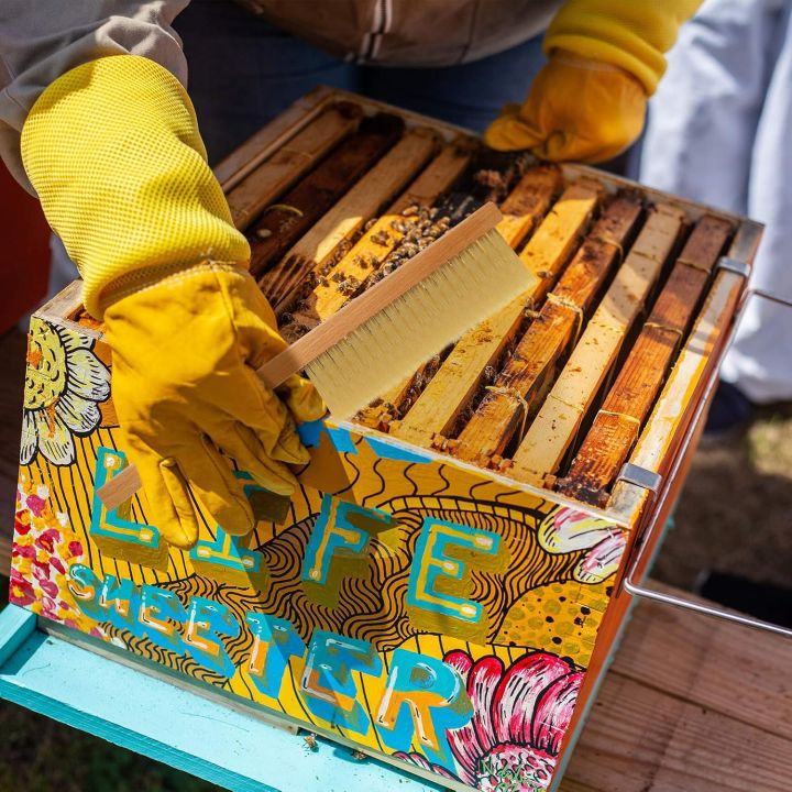 Beekeeping%20Tools%20Wood%20Honey%20Brush%20Wasp%20Bee%20Sweep%20Beekeeping%20Equipment%20Horse%20Tail%20Hair%20New%20Bee%20Brush%20For%20Cleaning%20Apiculture%20-%20Image%202