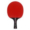 Loki Kirin Series 2/3/4/5/6/7 Star Table Tennis Racket. 