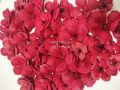 handmade paper flowers. 
