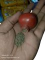 Original Qandhari Anar Chat Masala(Pack Of 12) Anar Choran Chooran Choran Masala Tasty And Chatpata With Affordable Price. 