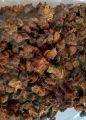 Flinders rose (capper bush) kaveer 250g. 