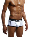 Summer Man Underpants Boxershorts Men Boxers Male Breathable Ice Silk Mesh Quick Drying Underwear Men’s Panties Boxer. 