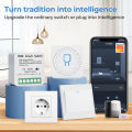 Tuya Mini WiFi Relay Smart Switch 16A 2-way Control Supports Alice, Alexa,  Home Smart Life Applications. 