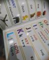 10 in 1 learning book for kids ,BIRDS NAMES,FRUIT NAMES, vegetables names, animals names, Flowers ,colours,days. 