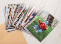 customize your design / high quality pic big in size /. 
