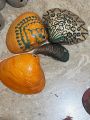 Shells. 