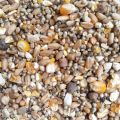 Pigeon feed 1kg. 