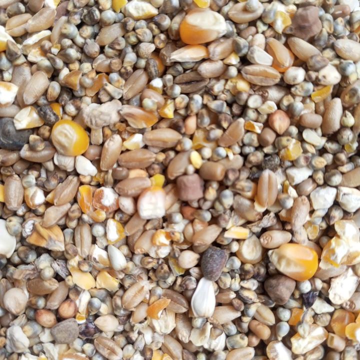 Pigeon%20feed%201kg%20-%20Image%204