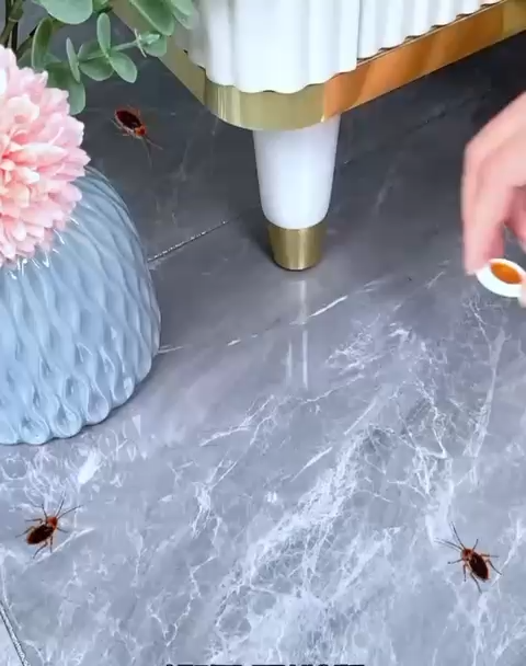 Fast Killer Cockroach Bait Gel fast killer Gel Cockroach Killer 8 Piece Powerful Roach Control Gel for Kitchen & Washroom | Fast-Acting, Easy to Use, Long-Lasting Formula | Gel-Coated Cockroach Killing Gel | Say Goodbye to Roaches Instantly