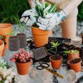 Coco Peat pellets disc coir Pellets Seed Starting Plugs Gardening soil Pallet Seedling Soil Block 5pcs/10pcs. 
