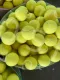Tennis Ball / Cricket Ball / Soft Ball (1 Pcs). 