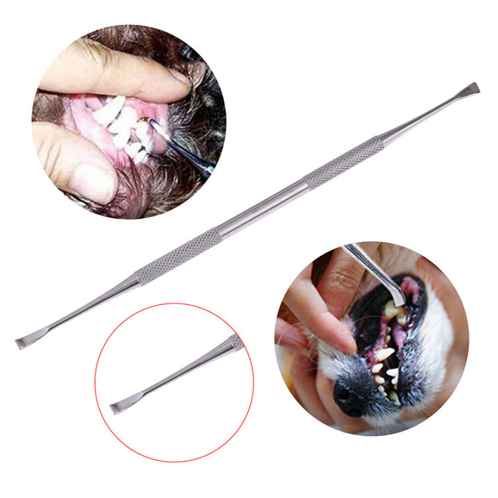 Double-head Stainless Steel Pet Tartar Stone Remover Scraper Scaler for ...