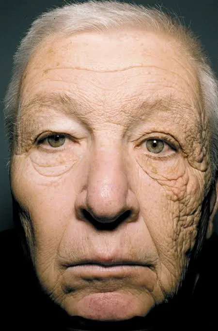 SPF%2050%20PA+++%20Sunscreen%2045ml%20%7C%20Best%20Broad-Spectrum%20Sunblock%20for%20Face%20&%20Daily%20Use%20%7C%20Lightweight,%20Non-Greasy%20&%20Hydrating%20Formula%20%7C%20UV%20Protection%20for%20Oily,%20Dry%20&%20Sensitive%20Skin%20%7C%20Matte%20Finish,%20Water-Resistant%20&%20Anti-Aging%20Sunscreen%20for%20Glowing%20Skin%20-%20Image%206
