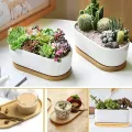1Pc Japanese Tableware Wooden Plate Beech Oval Tray Mini Solid Wood Small Plate Children's Whole Wooden Plate Wooden Plate 18cm. 
