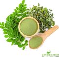 Shudh Online Moringa Leaves Powder Organic, Murungai Leaf powder (100 Grams. 