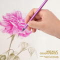12/24 Colors Metallic Colored Pencils Lead Black Wood Color Pencil Graffiti Painting Creative Painting Color Pencil. 