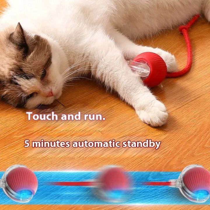 Cat%20Interactive%20Ball%20Toys%20Automatic%20Rolling%20Ball%20For%20Kitten%20Rechargeable%20Smart%20Pet%20Electric%20Toys%20With%20Teaser%20Sensor%20Cat%20Ball%20Toy%20-%20Image%205