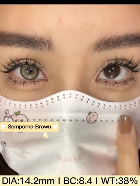 Semporna Brown Color Contact Lenses With Container And Free water Kit | Eye Lens For Girls | Color And Disposable Lenses