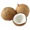 Pack Of 3 Fresh Coconut With Water.. 