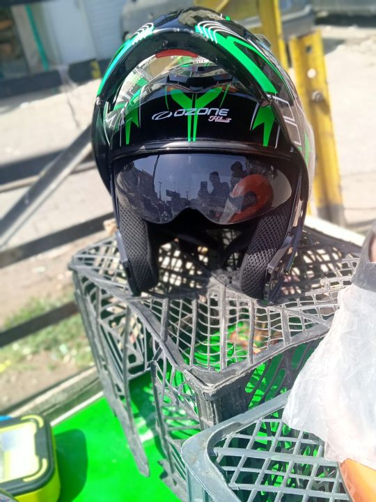 dolphin helmet