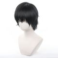Anime Jujutsu Fushiguro Toji Cosplay Synthetic wig Short Black hair for men costumes Wigs. 