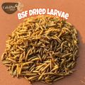 Black Soldier Flies Dried Larvae (1 Kg)  "Bsfl". 