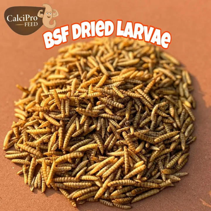 Black%20Soldier%20Flies%20Dried%20Larvae%20(1%20Kg)%20%20"Bsfl"%20-%20Image%206