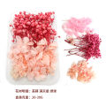 1 Box Artificial Plants Natural Real Dried Flowers for Candles Mold Epoxy Resin DIY Making Decoration Home Accessories Crafts. 