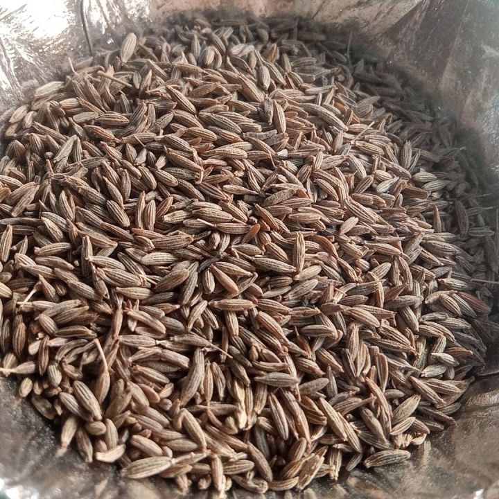 Jeera cumin
