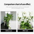 Plant Climbing Wall Self-Adhesive Fixed Buckle Hook Fastener Tied Fixture Vine Buckle Hook Garden Plant Wall Climbing Vine Clips. 