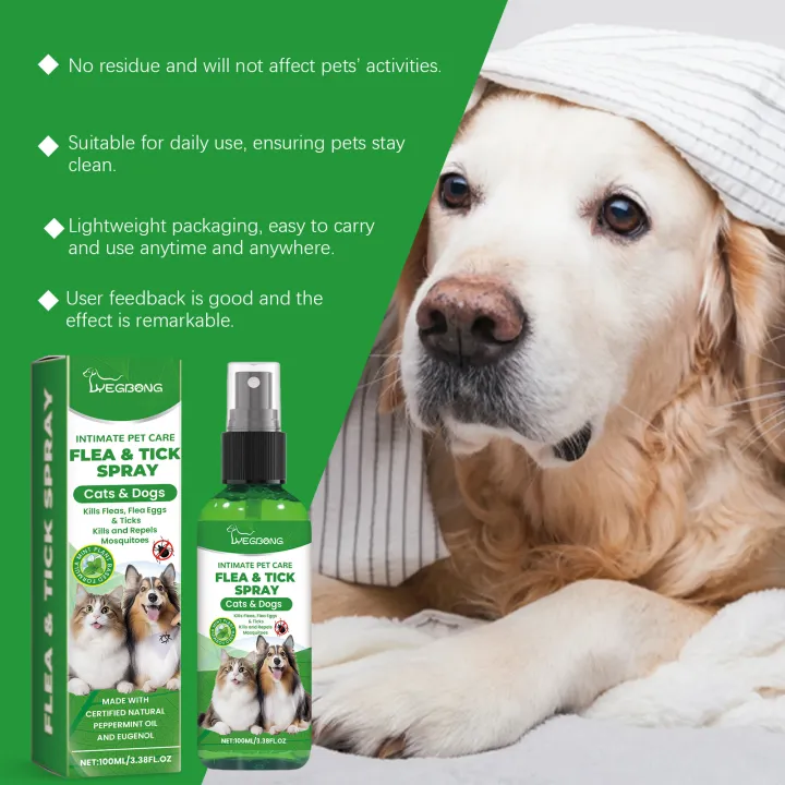 Mite%20Removal%20Spray%20Cats%20Dogs%20Flea%20Killer%20Itching%20Relief%20Remove%20Ticks%20Cat%20Allergy%20Treatments%20Anti%20Lice%20Insect%20Pet%20Skin%20Care%20Spray%20-%20Image%206