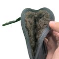 Concealed Carry IWB Holster – Genuine Leather for 9mm HandGun, Black, Soft Padding. 