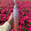 300ml 1pc Gradient Frosted Water Bottle. 