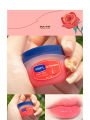 WNP'L Lip Therapy Lip Balm Avocado, Honey Peach, Honey , Sakura , vaseline, Rose -1pcs. 