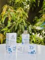 Hyaluronic pumpling serum. 