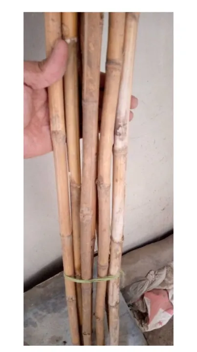 Bamboo%20sticks%205pieces%20-%20Image%207