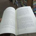 What is Feminism? An Introduction to Feminist Theory

Book by Chris Beasley. 