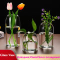 Simple Modern Glass Flower Vase Home Decoration Hydroponic Plant Bottle Desktop Decoration for Wedding Reception Family. 