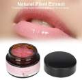 MELAO Peach Lip Exfoliator Lip Scrub Nourishing Lipstick Remove Lip Cuticles -20gm. 