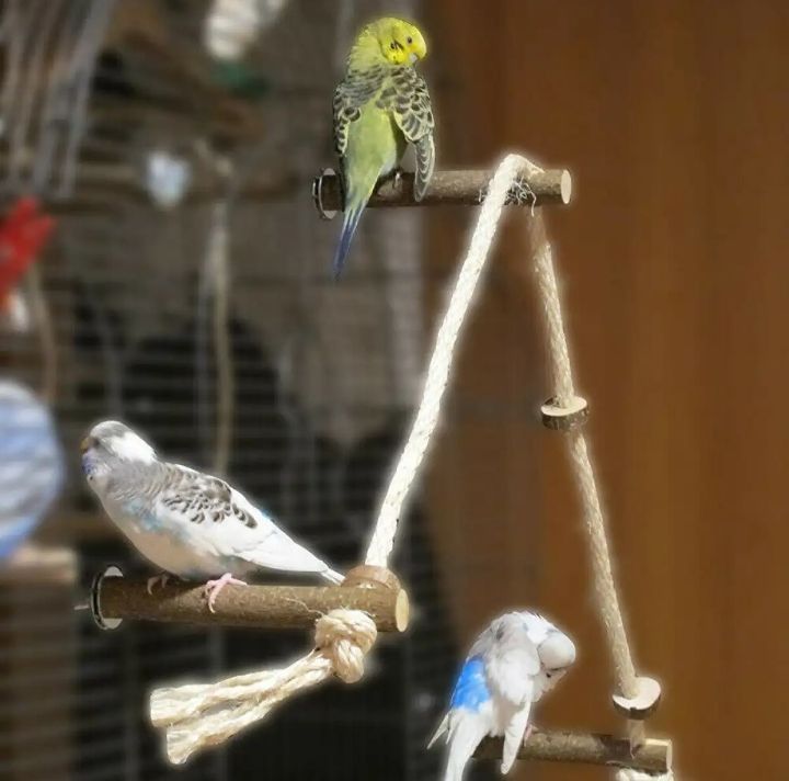 Pet%20Bird%20Wooden%20Perches%20with%20Hanging%20Rope%20for%20Birds%20Playing%20and%20Resting%20%7C%20Size%204"%20%7C%20-%20Image%203