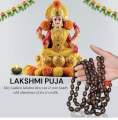 Kamal Gatta Mala 108 Beads,Lotus seed Japa Mala. 