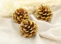 Christmas decoration pine cones dry pine cones. 