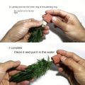 High   Quality Aquarium Plant Fixation Rings - Breathing Rings for Aquatic Plants Ensure Stability and  Health in Aquascaping. 