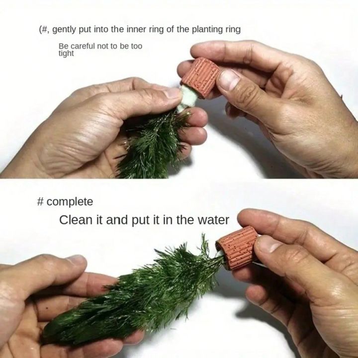 High%20%20%20Quality%20Aquarium%20Plant%20Fixation%20Rings%20-%20Breathing%20Rings%20for%20Aquatic%20Plants%20Ensure%20Stability%20and%20%20Health%20in%20Aquascaping%20-%20Image%202