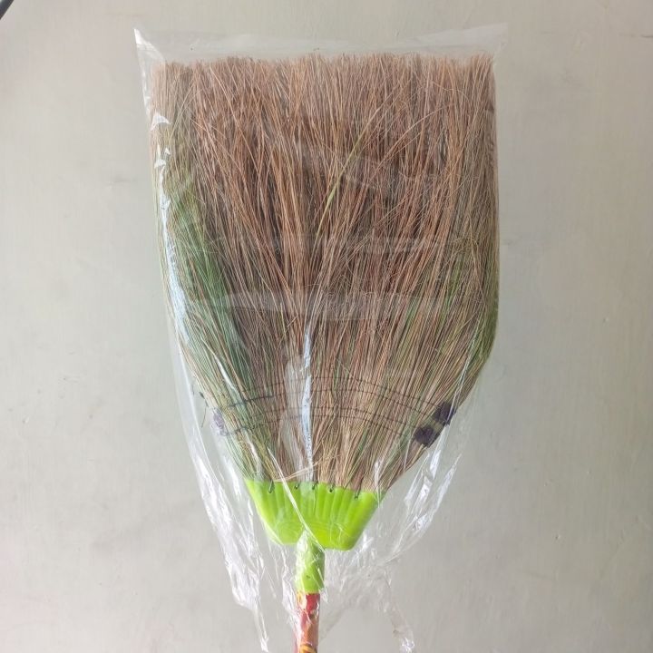 broom stick phool jharoo