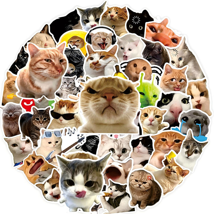 10/50/100pcs Funny Cat MEME Stickers Cute Animal Decals DIY Scrapbook ...