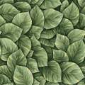 3d Wallpaper. 